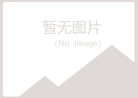 中山港口夏岚服务有限公司